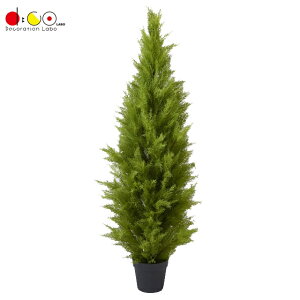 150cm S[hNXgc[ O[ FD3704G tFCNO[ [t c[ lHϗtA NXgc[ S[hNXg Rjt@[ c[