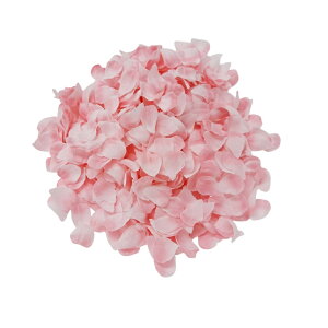 yy14܂œoׁzNEW  ̉Ԃт 1000 ̃t[V[ T0193 Ԑ   Ԃт   t[V[ t t ̑ObY   T