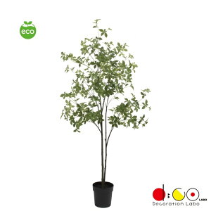 ǂ|bg/O[ VR23061G hE_ccW UP V c[ |bg tFCNO[ lHϗtA 