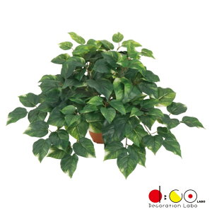 v~A|gXnMOubV S rj[R[eBO OΉ s|bgʔt LEB8355S |gX tFCNO[ [t ubV  OΉ