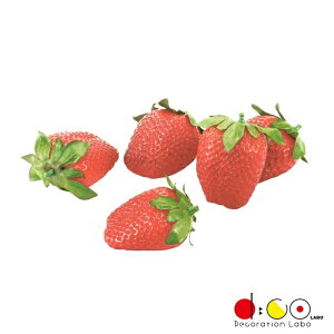 tbVXgx[ Hׂ܂ 5P/pbN \tg^b` VF1277  Xgx[  t HiTv t[c tFCNt[h