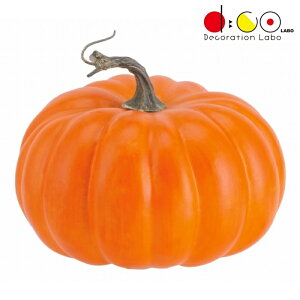 pvL VF1280 HiTv tFCNt[h fBXvC  ڂ J{` nEB pvL