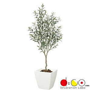 y@llz150cm 쉢I[uc[ s|bgʔt LET2089 tFCNO[ c[ lHϗtA I[u 