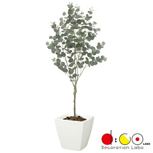 y@llz150cm [Jc[ s|bgʔt LET2090 tFCNO[ c[ lHϗtA [J 