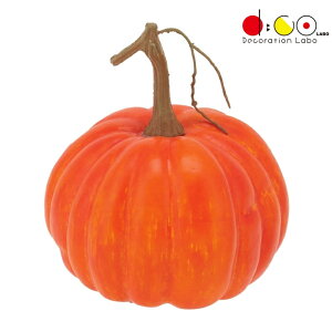 pvL VF1284 HiTv tFCNt[h fBXvC ͌^  ڂ pvL nEB