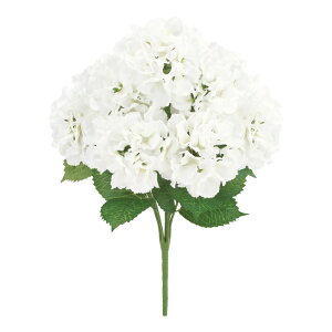 ܌JAWTCubV *7 zCg FLB8139WH  z  ubV  A[gt[ T}[ 