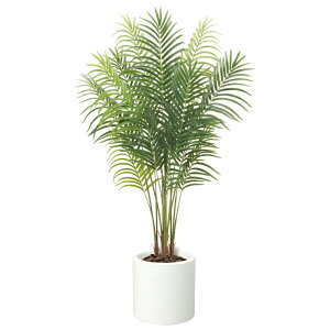 y@llz 150cm EH[^[v[tAJp[c[ rj[R[eBO s|bgʔtyOΉz LET2091S tFCNO[ c[ lHϗtA AJp[ V gs