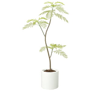 y@llz 150cm Go[tbVc[ vX`bN s|bgʔtyOΉz LET2092 tFCNO[ c[ lHϗtA Go[tbV OΉ