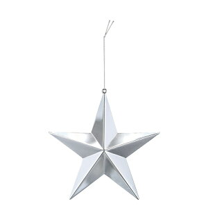 300mm[W^bNX^[ Vo[ OXM1495MSI NX}X fR[V  I[ig ^bN  X^[ 30cm 