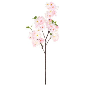 �͂ȍ� FLS5356 �� ���� �} �X�v���[ �t�F�C�N�t�����[ ������ �T�N�� ���Ԍ� ���w ����