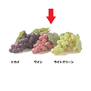 [O[v M C VF0116MWI HiTv tFCNt[h fBXvC t[c O[v Ԃǂ  uhE  [