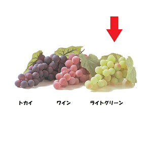 [O[v M CgO[ VF0116MLTGR HiTv tFCNt[h fBXvC t[c O[v Ԃǂ  uhE  [