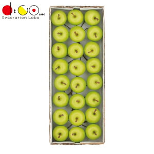 35mmO[AbvsbN 24{/pbN VF1257S HiTv tFCNt[h fBXvC ʕ t[c 