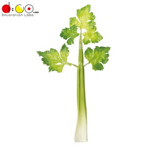 Z 3{/pbN VF1267 HiTv tFCNt[h fBXvC  Z