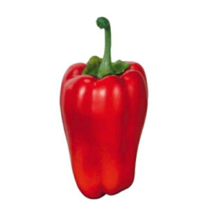 s[} 3PpbN bh VF1082RD HiTv tFCNt[h fBXvC  s[}