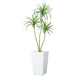 y@llz 110cmbJc[ *3 i`J[Xe s|bgʔt BT2023S10 bJc[ bJ c[ tFCNO[ lHϗtA 