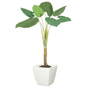 y@llz NYC L s|bgʔt BT2034L NYC c[ tFCNO[ lHϗtA 