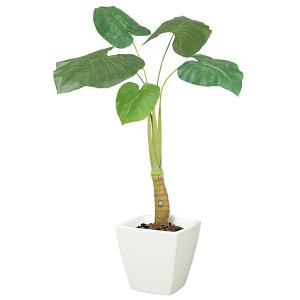 y@llz NYC S s|bgʔt BT2034S NYC c[ tFCNO[ lHϗtA 