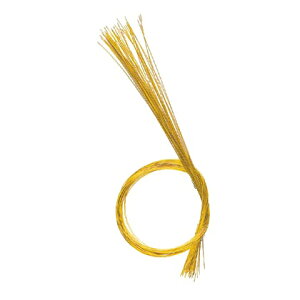  (50{/pbN)  DE0211SGO S[h     ޗ f | 