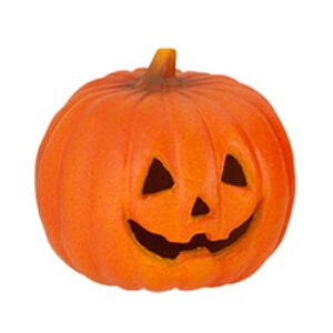 �W���b�N�I�[�����^�� S - 16cm DE1404S �W���b�N�I�[�����^�� �J�{�`�� �p���v�L�� �f�B�X�v���C �n���E�B�� �f�R���[�V���� ���� ���� ���ڂ���