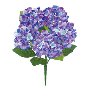 ʃAWTCubV *5 p[v FLB8081PU ʃAWTC  AWTC z  ubV  A[gt[