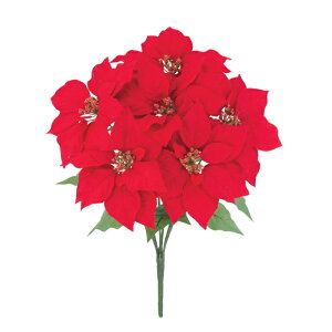 NVJ|CZ`AubV *6 FLB8136 |CZ`A  ubV  A[gt[ NX}X ~ EC^[