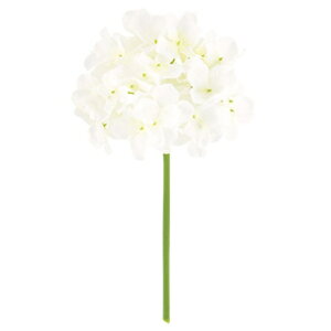 sG}tt@CAWTCsbN zCg FLP6013WHHI  sbN A[gt[ AW G}