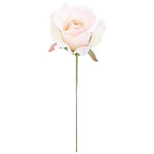 sG}t~VF[YsbN \tgsN FLP6014SOPKHI  sbN A[gt[ AW G}