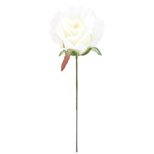 ~VF[YsbN zCg FLP6014WH ~VF[Y [Y o KN ΂  sbN A[gt[ AW