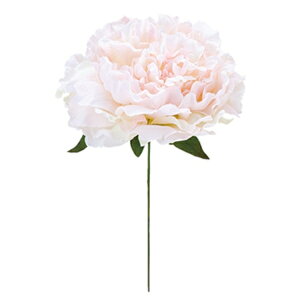 sG}tGUxXsIj[sbN \tgsN FLP6016SOPKHI  sbN A[gt[ AW G}