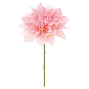 _AsbN AeB[NN[sN FLP6017ANCRPK _AsbN _A 肠 _  sbN A[gt[ AW