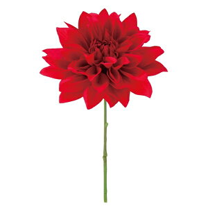 _AsbN bh FLP6017RD _AsbN _A 肠 _  sbN A[gt[ AW