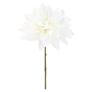 sG}t_AsbN zCg FLP6017WHHI  sbN A[gt[ AW G}