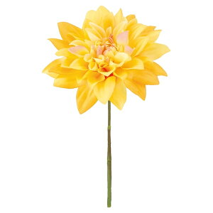 sG}t_AsbN CG[ FLP6017YLHI  sbN A[gt[ AW G}