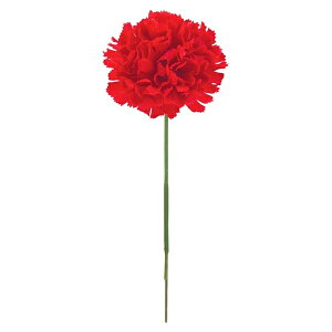 J[l[VsbN bh FLP6019RD J[l[VsbN J[l[V ̓  sbN A[gt[ AW