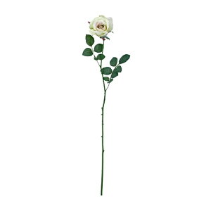 �s���G�}�t�~�V�F�����[�Y ���C���O���[�� FLS0713LIMEHI ���� �A�[�g�t�����[ �X�v���C ���G�}