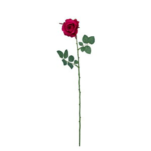 �~�V�F�����[�Y �v���~�A���r���[�e�B�[ FLS0713PRBEA �~�V�F�����[�Y ���[�Y �o�� �K�N �΂� ���� �A�[�g�t�����[ �X�v���C