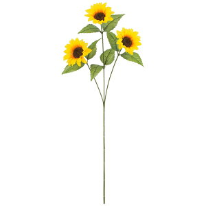 q} *3 FLS5288 Ђ܂ q}  } Tt[  A[gt[ XvC