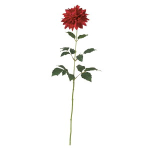 �_���A ���C�� FLS5338WI �_���A ���肠 �_���� ���� �A�[�g�t�����[ �X�v���C