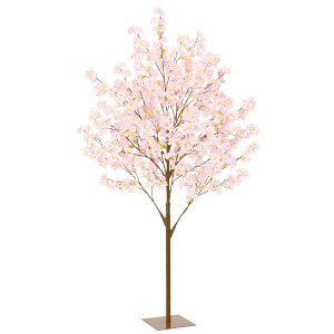 240cmc[X^h FLT2003M c[X^h X^h c[  u t  A[gt[  X^h  c[