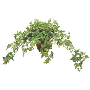 sG}t O[ ubV  ~jj[ACr[ubV M *18 O[ s|bg  ͕ʔłt LEB0117MGRHI tFCNO[ [t ubV  lHϗtA G}