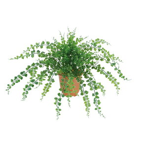 sG}t O[ ubV  AWA^ubV vX`bN s|bg  ͕ʔłt LEB8079HI tFCNO[ [t ubV  lHϗtA G}