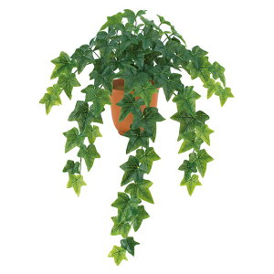 sG}tEH[^[v[t ACr[ubV *8 s|bgʔt LEB8211HI tFCNO[ [t ubV  lHϗtA ACr[ubV   c^ ACr[ G}