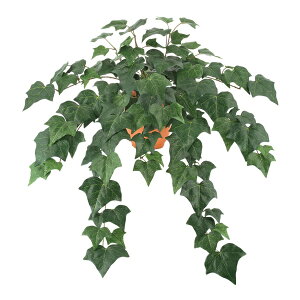 観葉植物 アイビー ハンギングの人気商品 通販 価格比較 価格 Com 観葉植物 アイビー ハンギングの人気商品 通販 価格比較 価格 Com