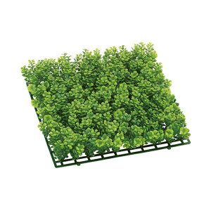 ~j{^[t}bg vX`bN OΉ LEE7050 tFCNO[ [t }bg lHϗtA OΉ ~j{^[t}bg {^