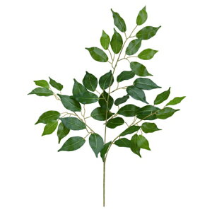 sG}ttBJXXvC *42 LES5119HI tFCNO[ [t XvC lHϗtA G}