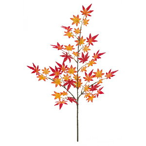 H~WXvC L bh LES5154LRD tFCNO[ [t XvC lHϗtA H~WXvC H gt ݂ ~W I[^ H̑