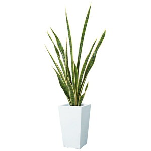 y@llz 105cmTZxA O[zCg s|bgʔt LET2027LGRWH09 tFCNO[ [t c[ lHϗtA TZxA c[