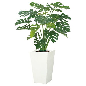 y@llz Xe O[ s|bgʔt LET2028GR13 tFCNO[ [t c[ lHϗtA Xe c[