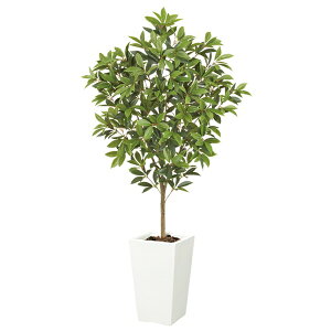 y@llz [c[s|bgʔt LET2064 tFCNO[ [t c[ lHϗtA [c[ [